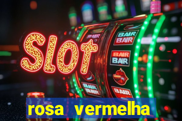 rosa vermelha (letra e cifra)